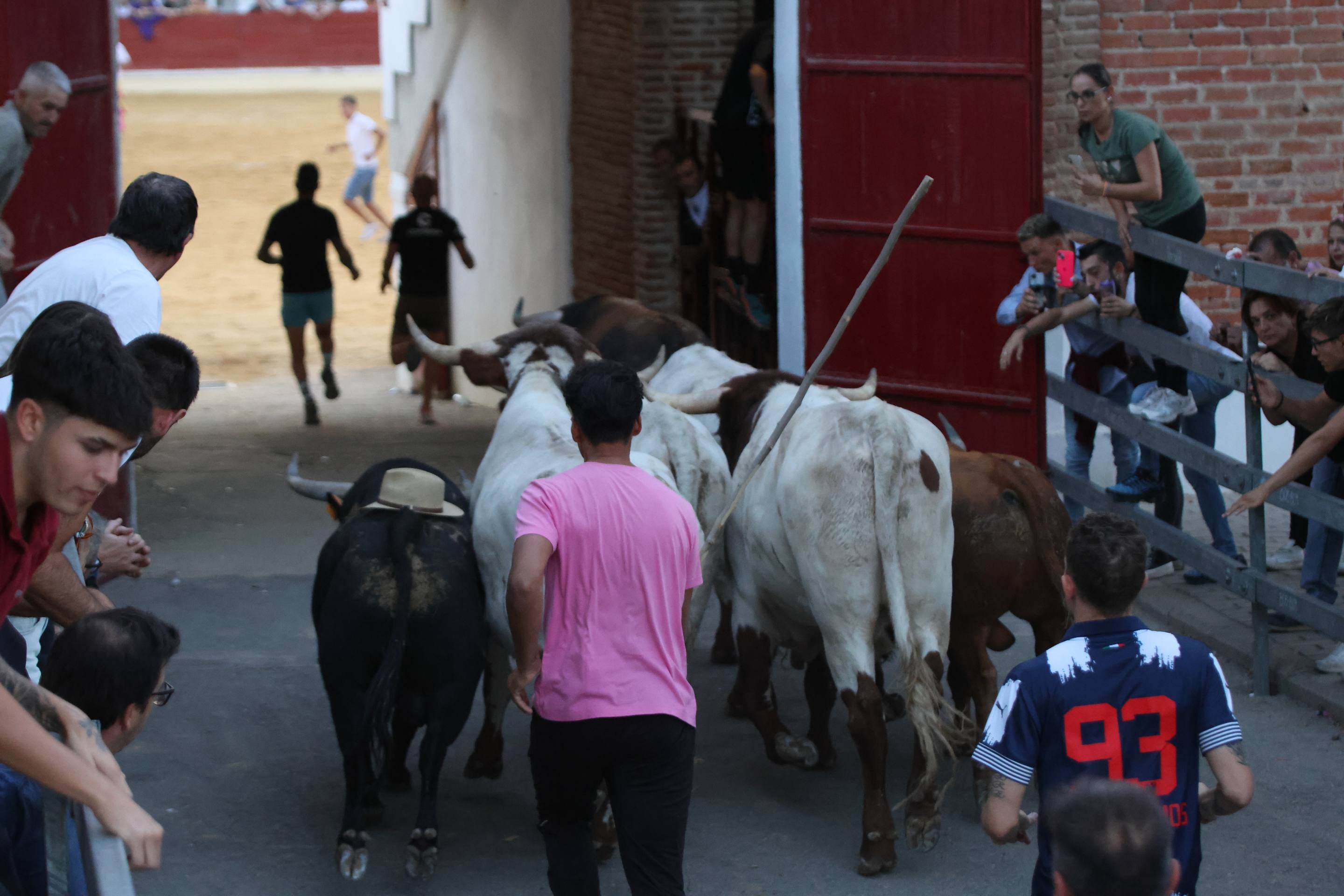 El encierro en Medina del Campo, en imágenes
