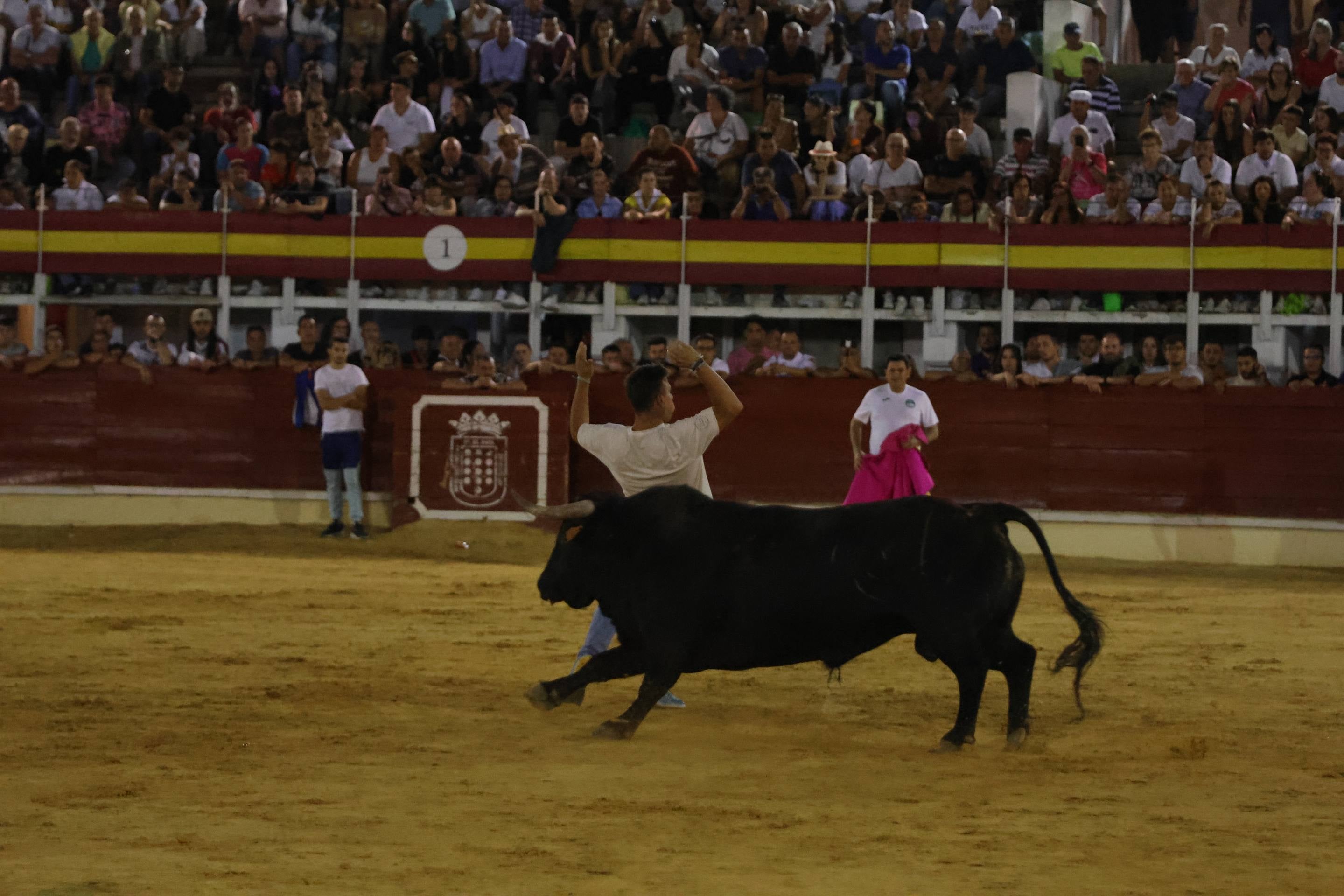 El encierro en Medina del Campo, en imágenes