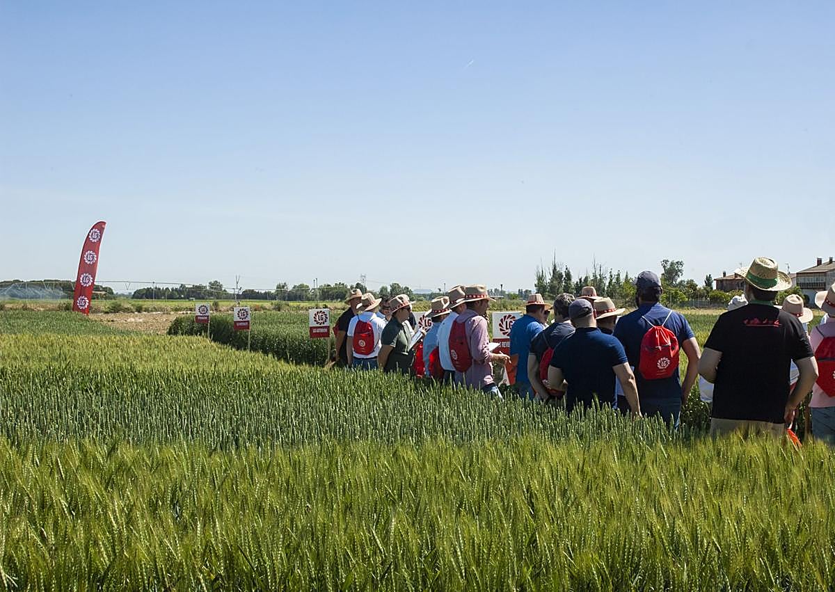 Imagen secundaria 1 - La solución a las necesidades de cada agricultor
