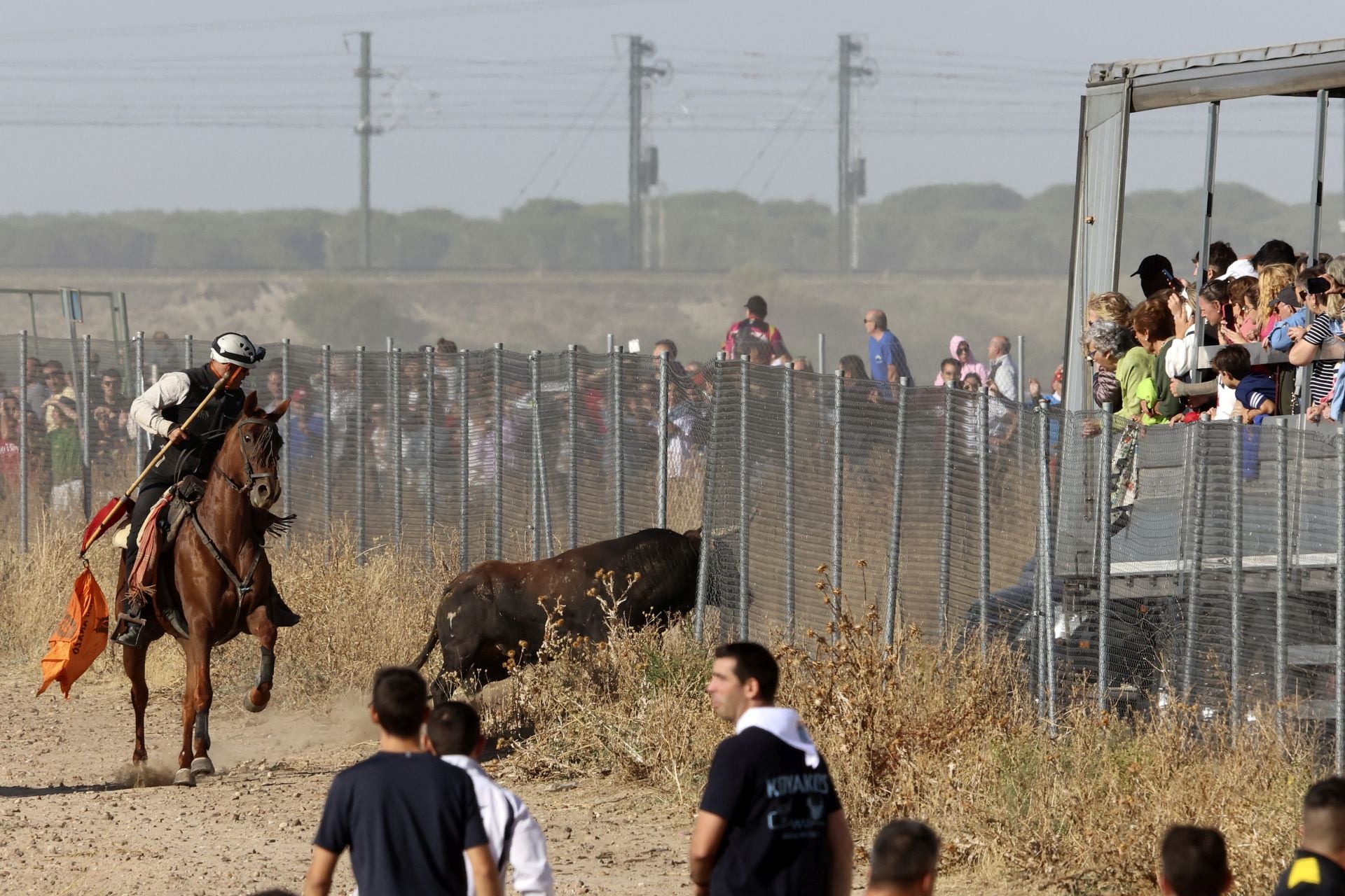 Las imágenes del encierro de este sábado en Medina del Campo