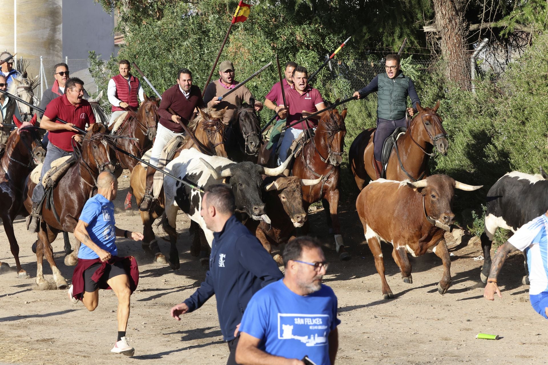 Las imágenes del encierro de este sábado en Medina del Campo