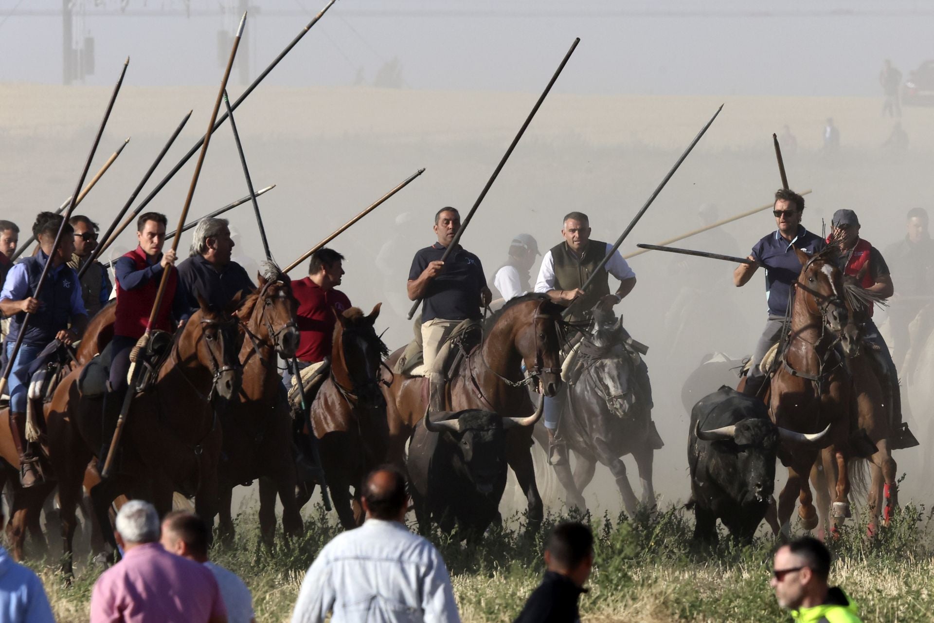 Las imágenes del encierro de este sábado en Medina del Campo