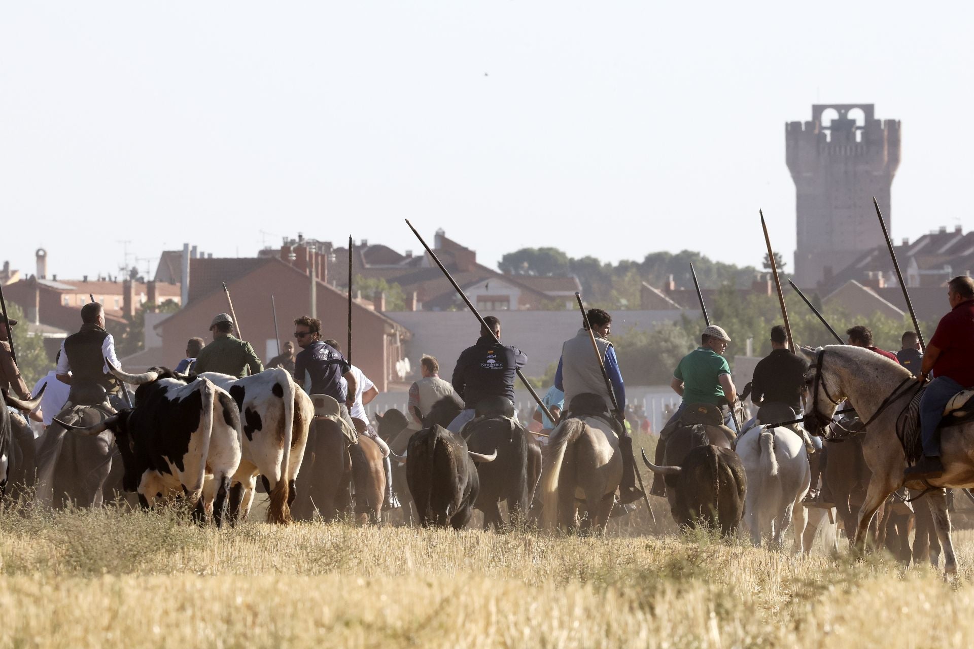 Las imágenes del encierro de este sábado en Medina del Campo