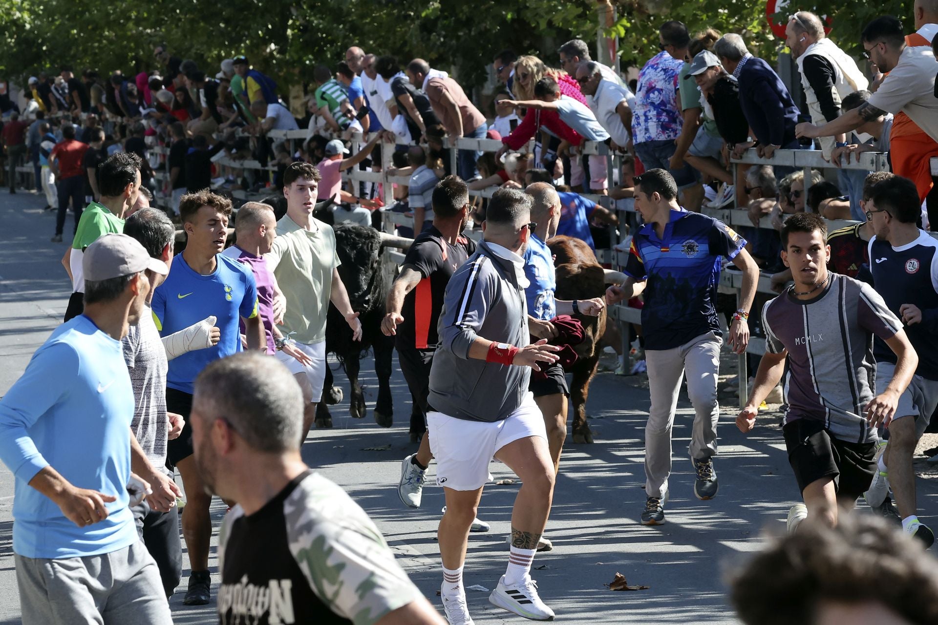 Las imágenes del encierro de este sábado en Medina del Campo