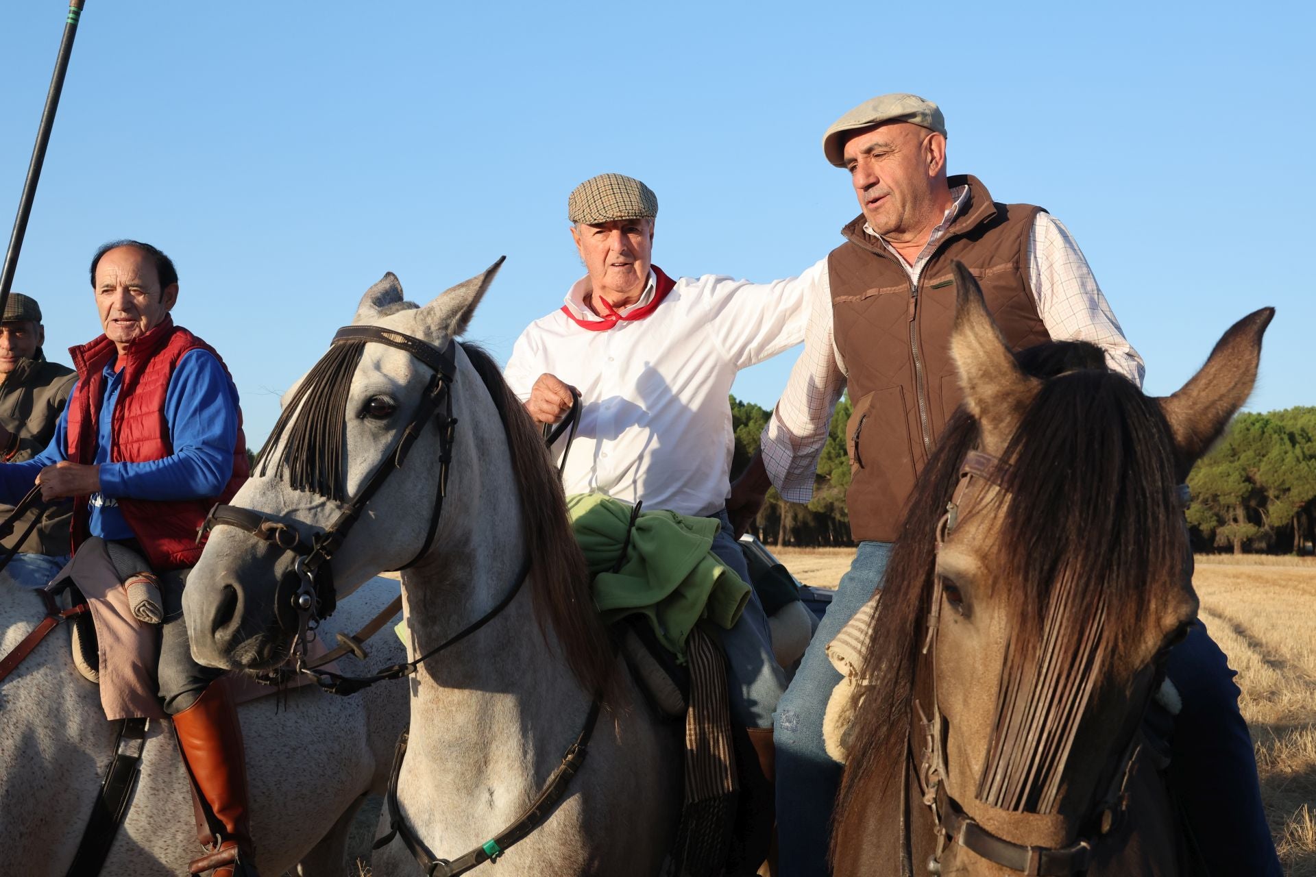 Las imágenes del encierro de este sábado en Medina del Campo