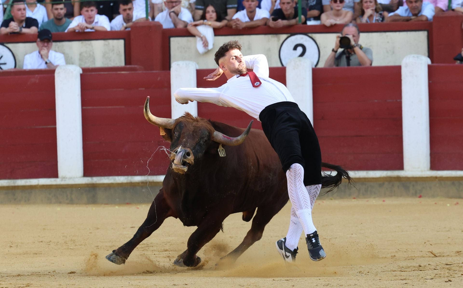 El Concurso de Cortes de Valladolid, en imágenes