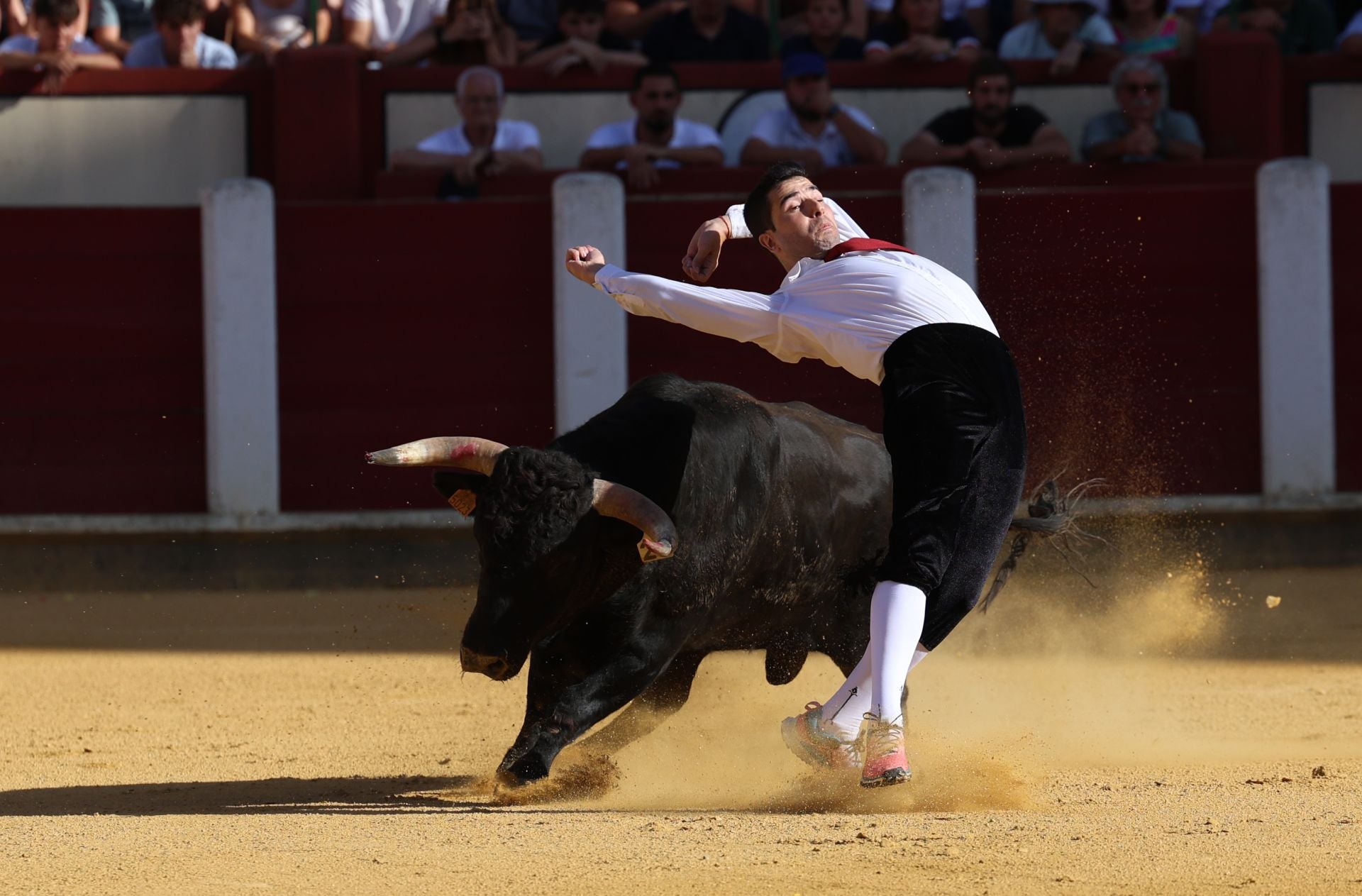 El Concurso de Cortes de Valladolid, en imágenes