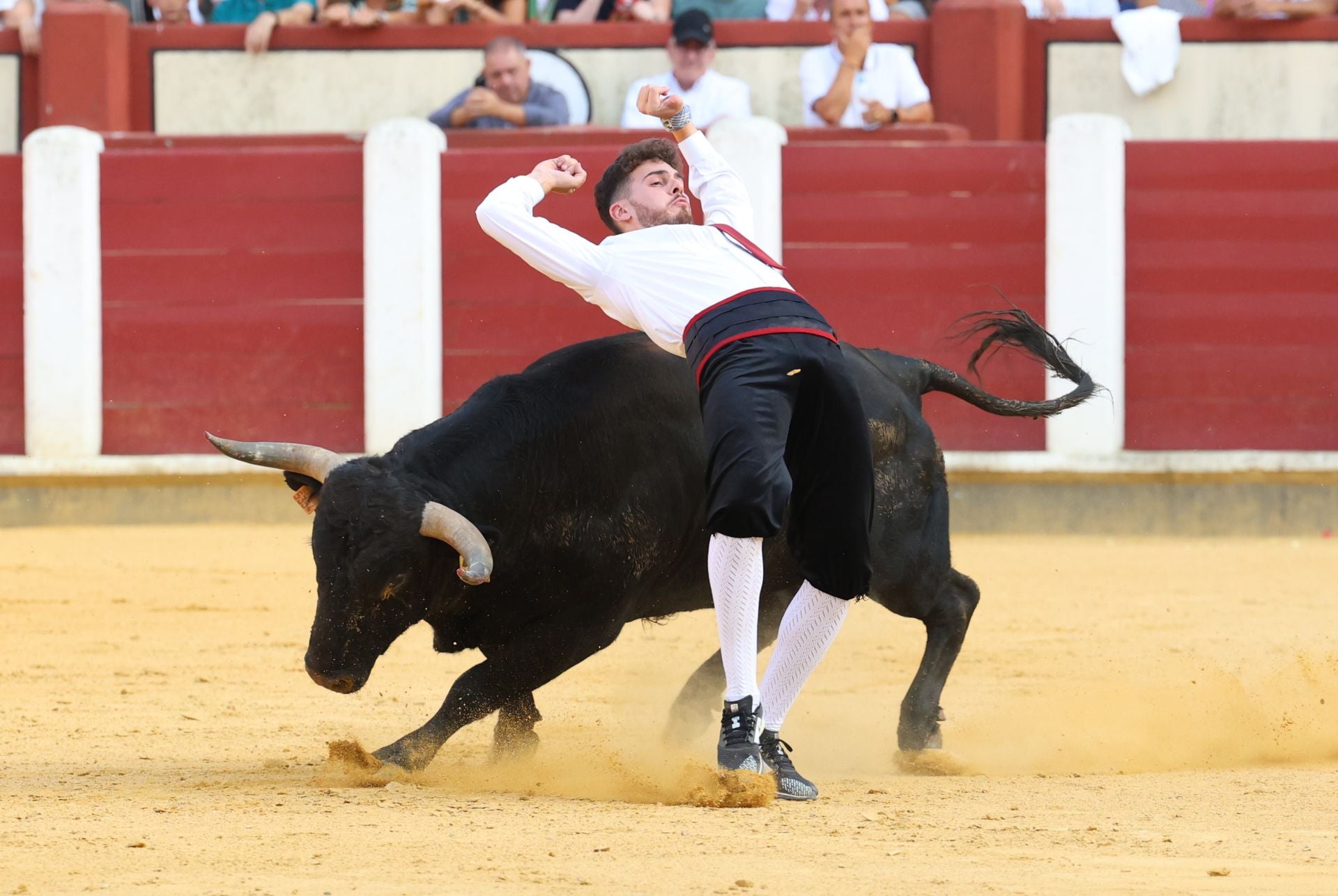 El Concurso de Cortes de Valladolid, en imágenes