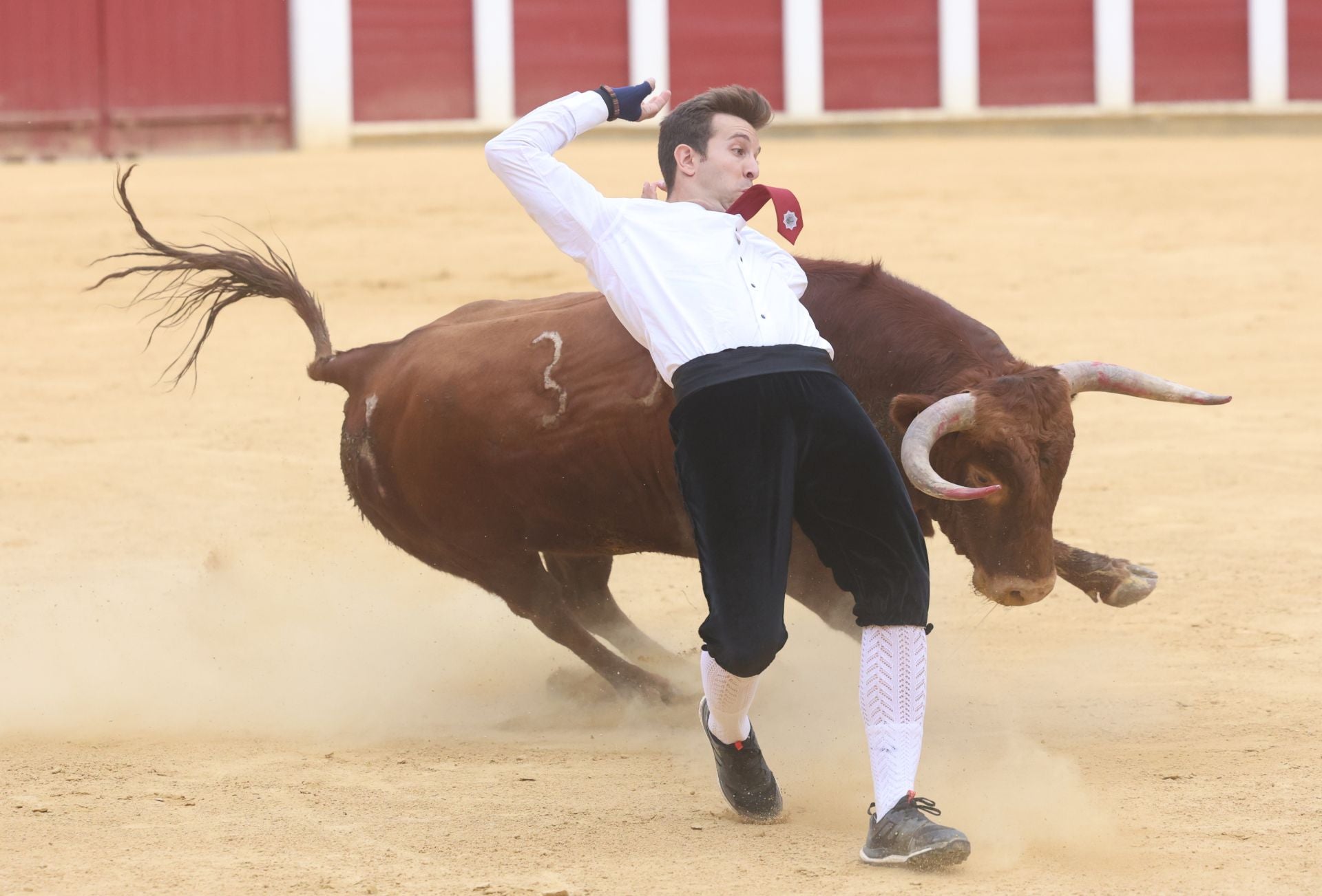 El Concurso de Cortes de Valladolid, en imágenes