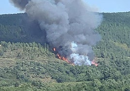 El incendio de Garcibuey, activo en una zona arbolada.