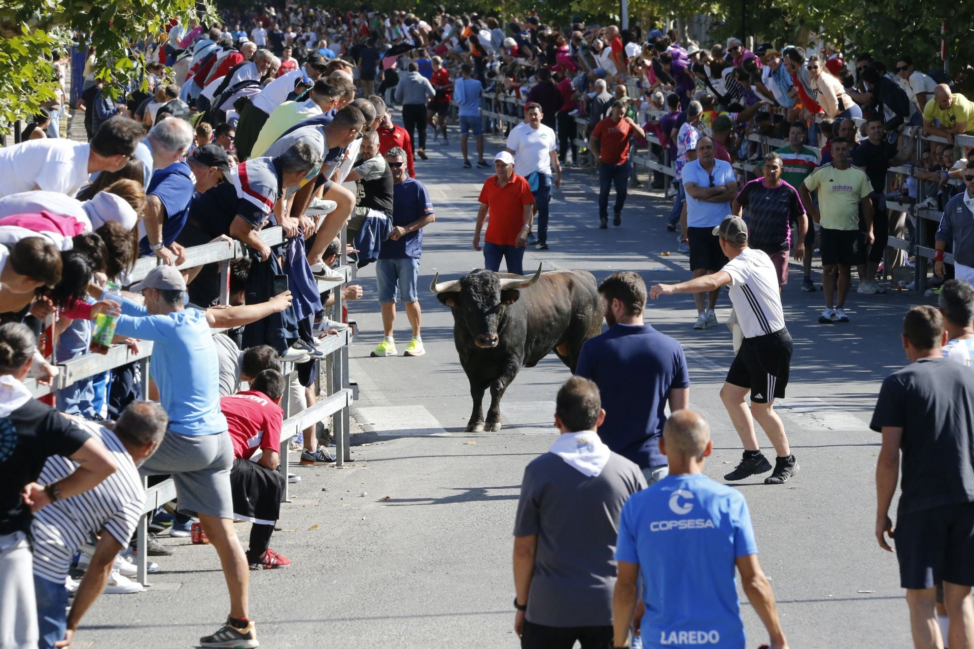 Las imágenes del encierro de este sábado en Medina del Campo