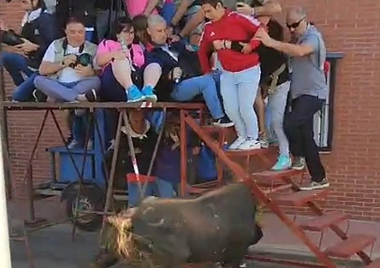 Momento en el que el toro embistió la plataforma con público.