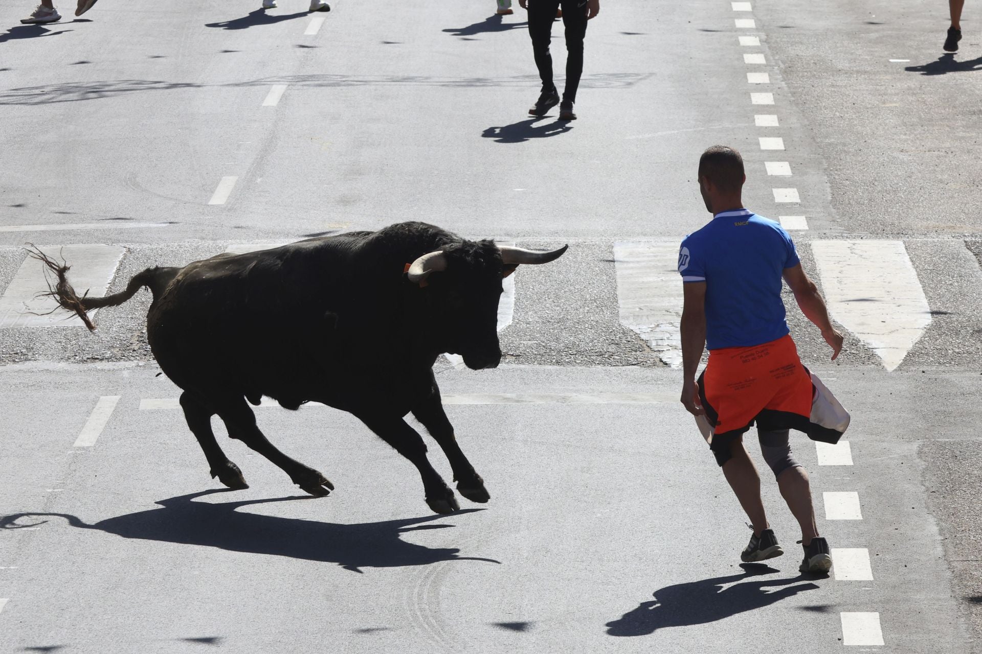 La fotos del encierro urbano en las fiestas de Nava del Rey 2025