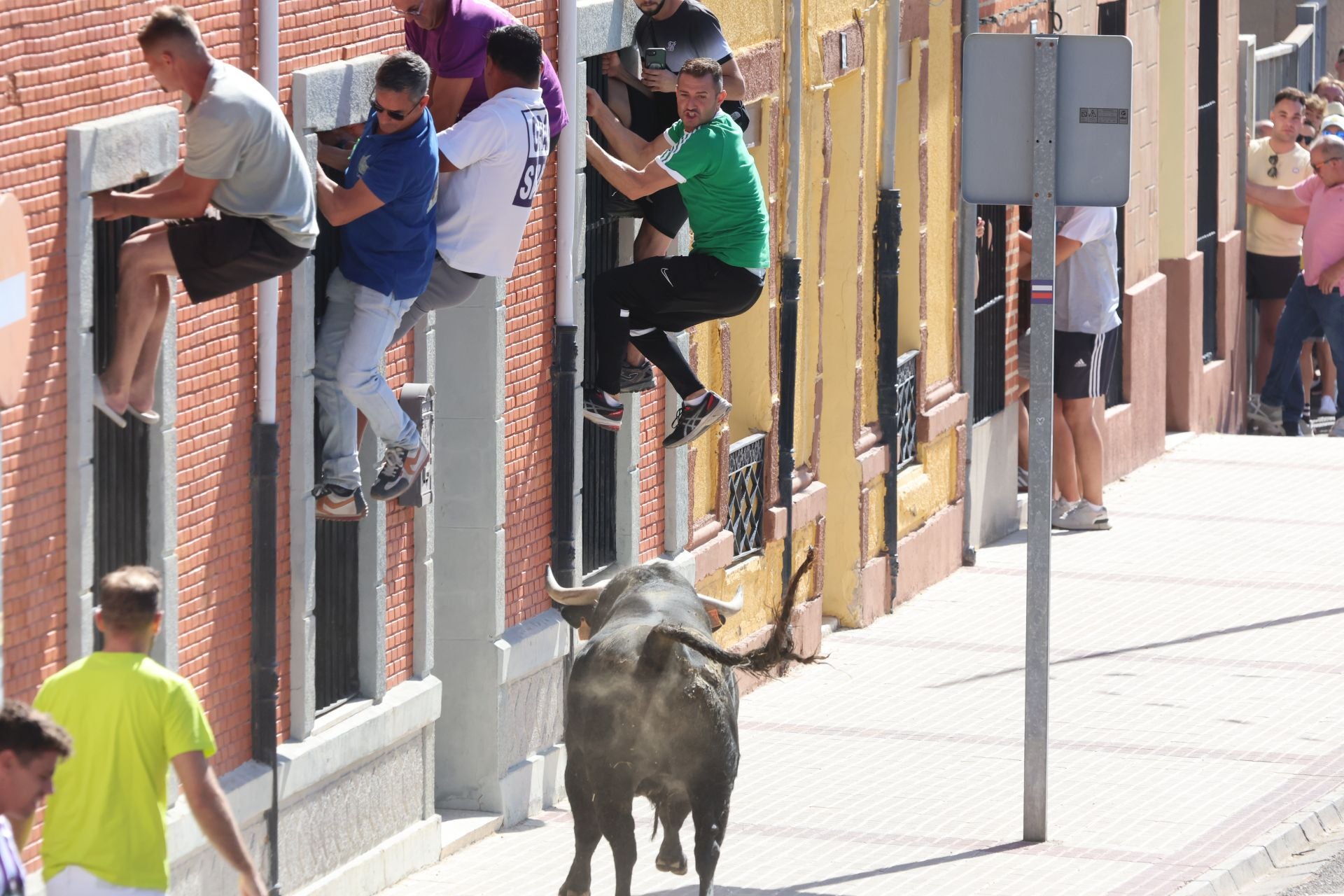 La fotos del encierro urbano en las fiestas de Nava del Rey 2025