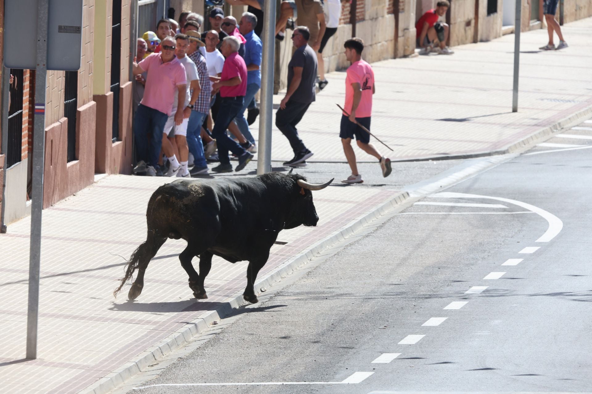 La fotos del encierro urbano en las fiestas de Nava del Rey 2025