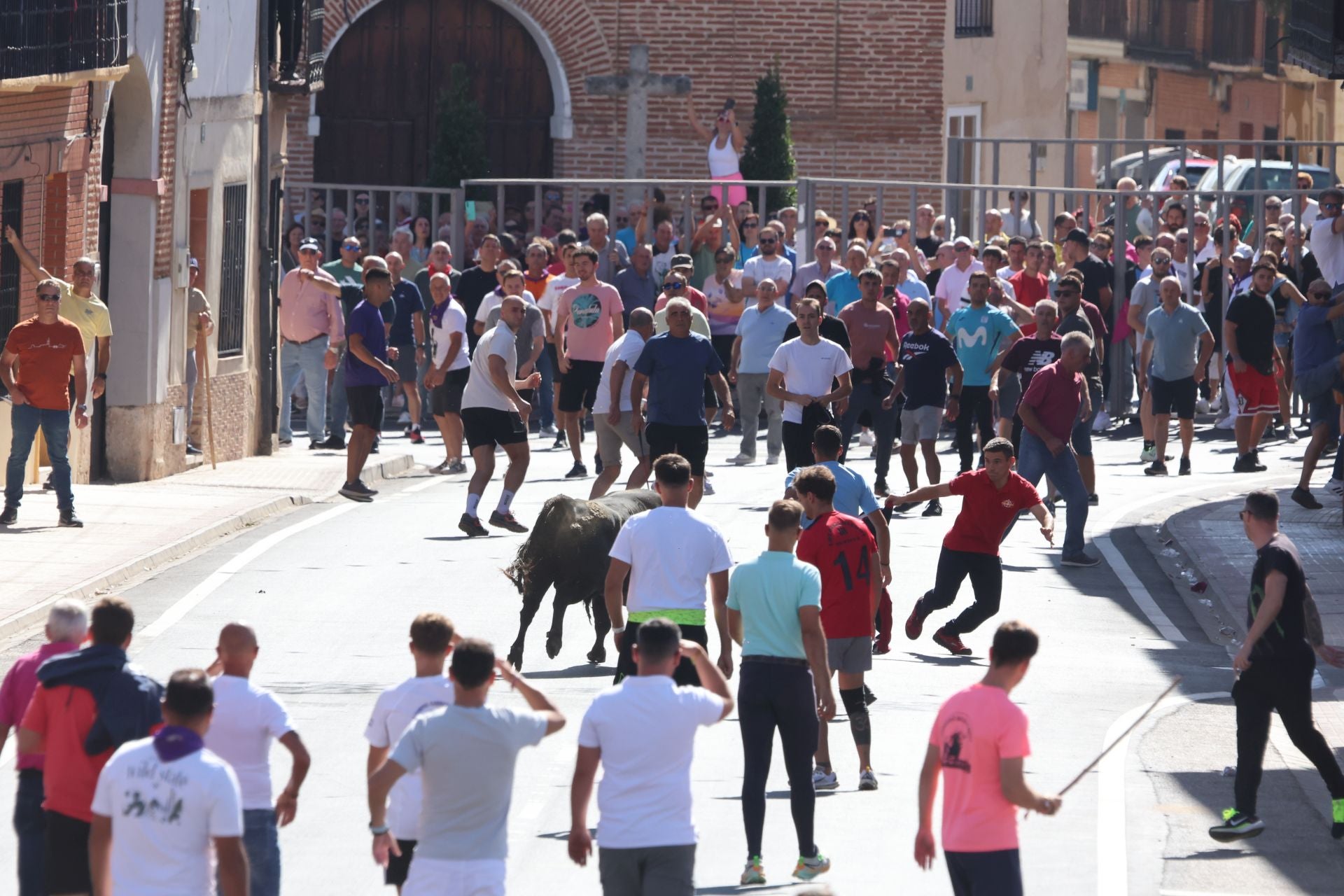 La fotos del encierro urbano en las fiestas de Nava del Rey 2025