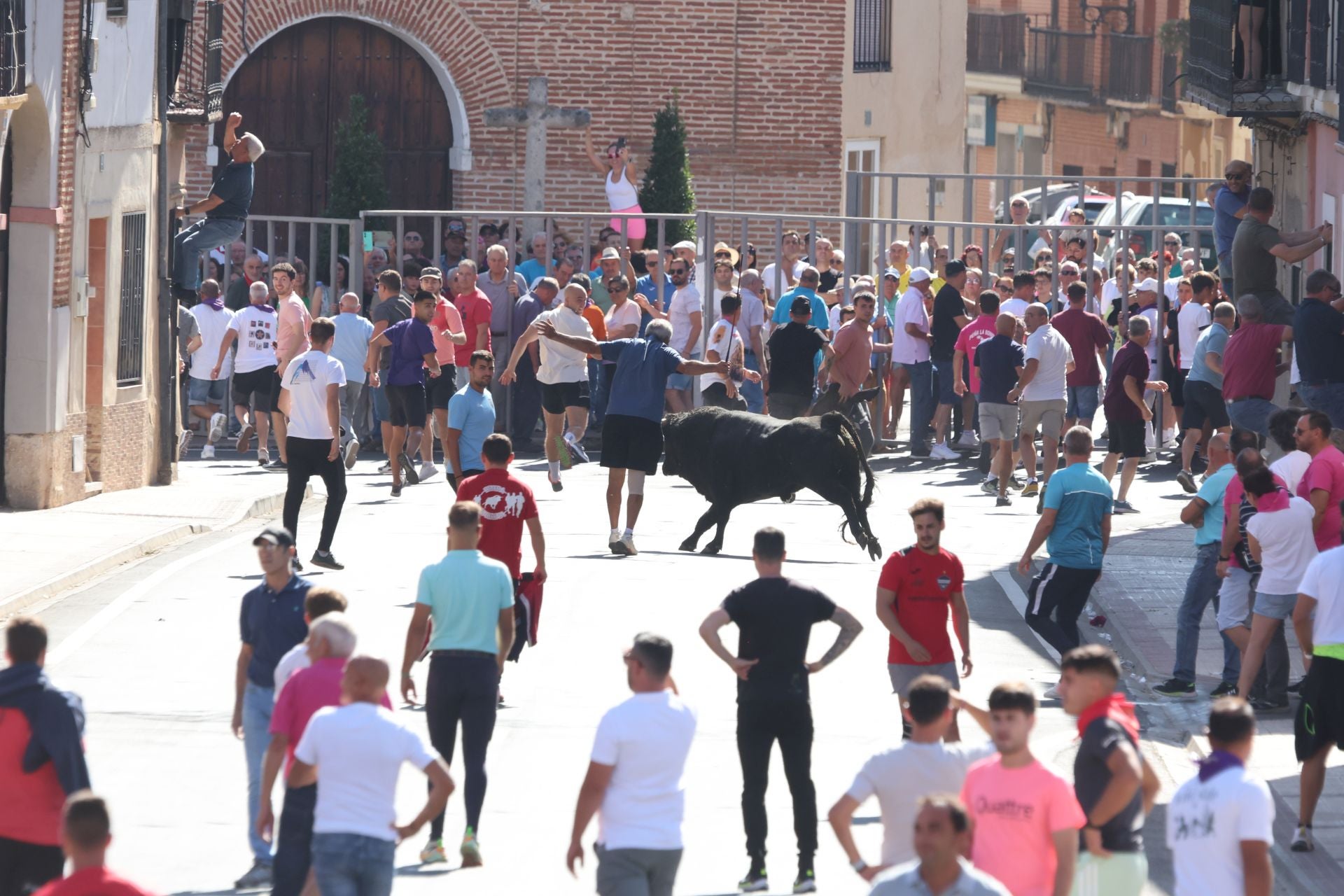La fotos del encierro urbano en las fiestas de Nava del Rey 2025