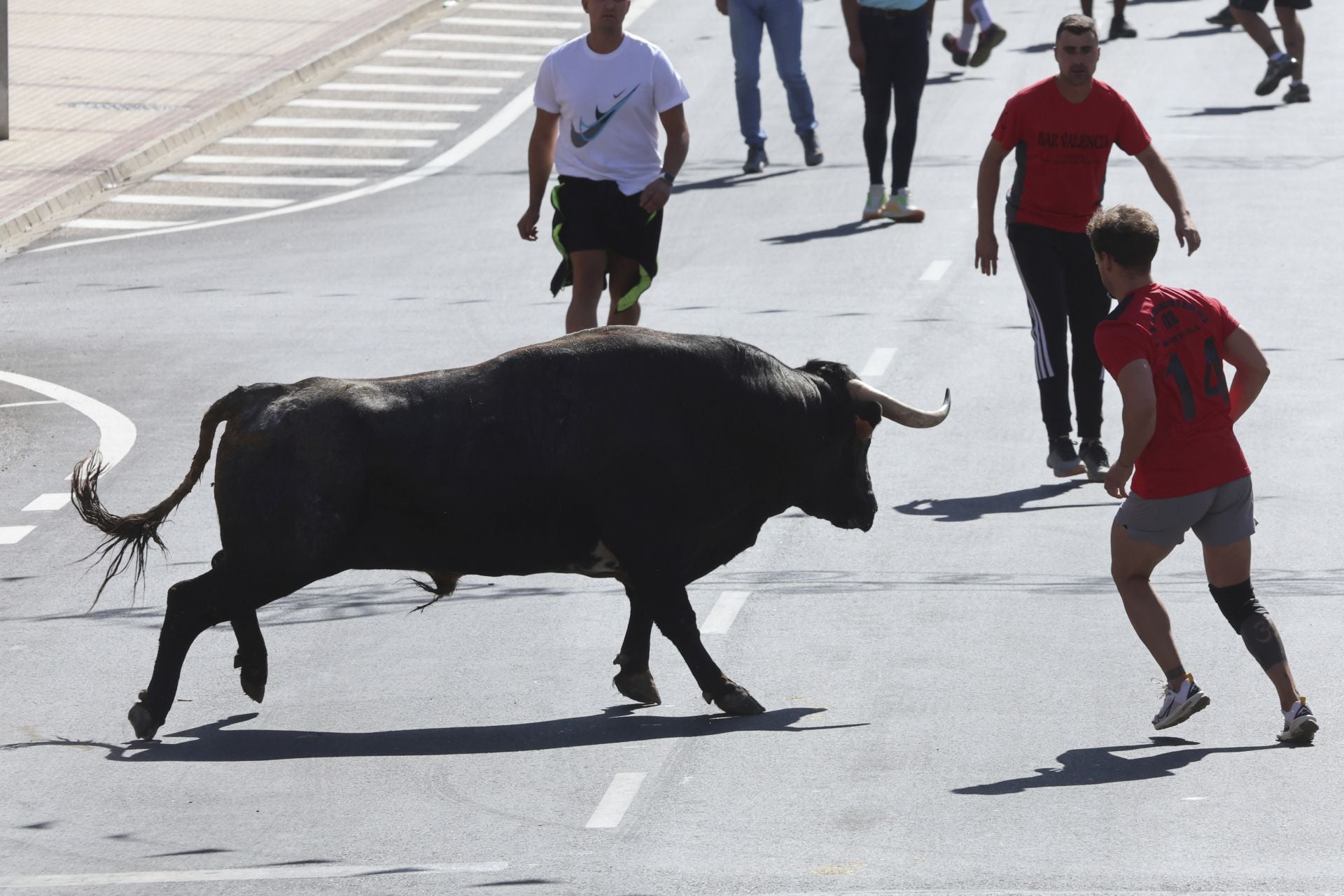 La fotos del encierro urbano en las fiestas de Nava del Rey 2025