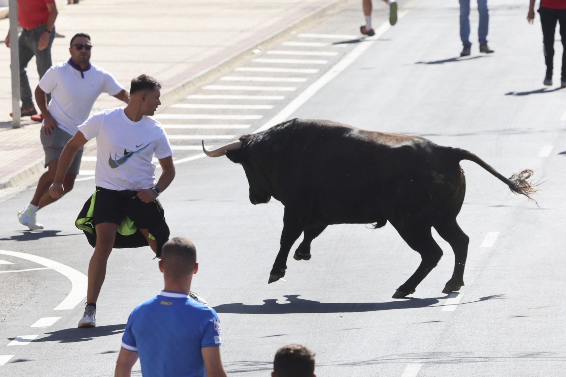 La fotos del encierro urbano en las fiestas de Nava del Rey 2025