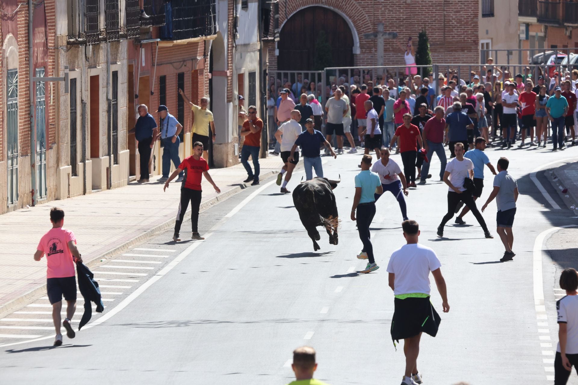 La fotos del encierro urbano en las fiestas de Nava del Rey 2025