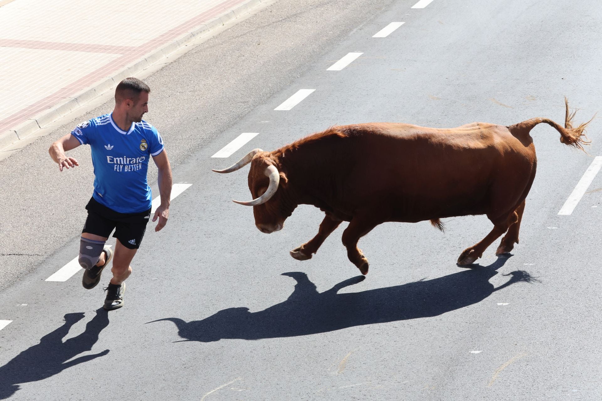 La fotos del encierro urbano en las fiestas de Nava del Rey 2025