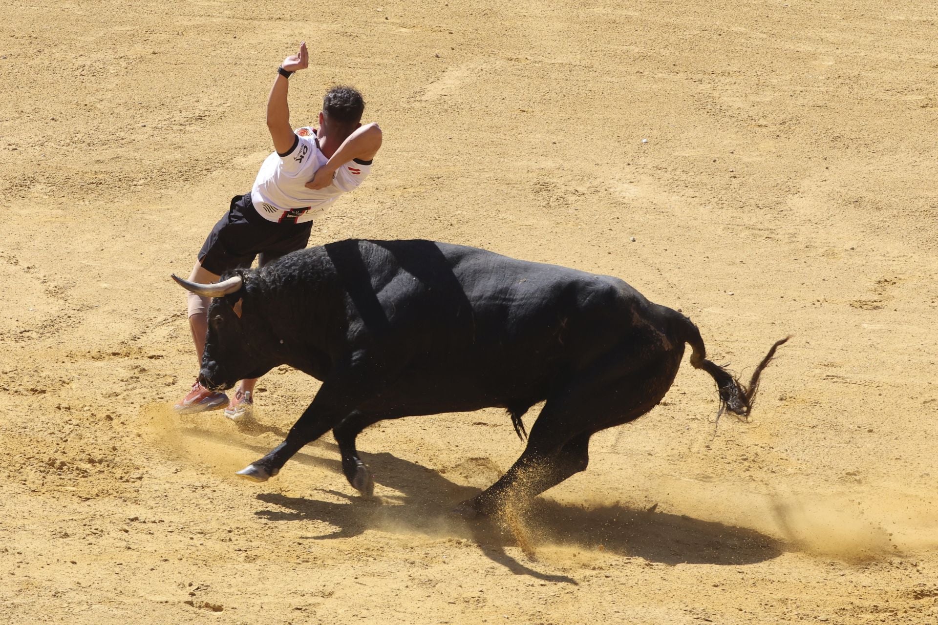 La fotos del encierro urbano en las fiestas de Nava del Rey 2025