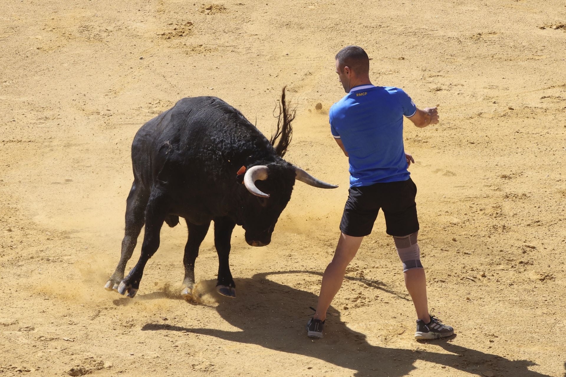 La fotos del encierro urbano en las fiestas de Nava del Rey 2025
