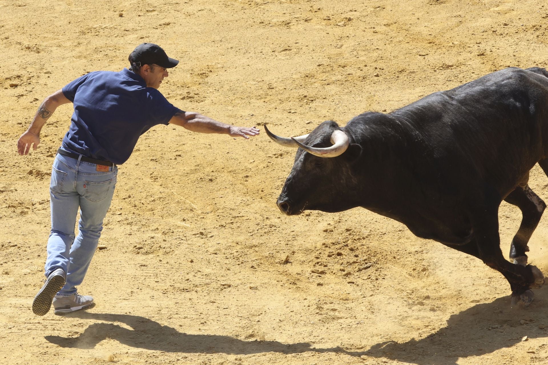 La fotos del encierro urbano en las fiestas de Nava del Rey 2025