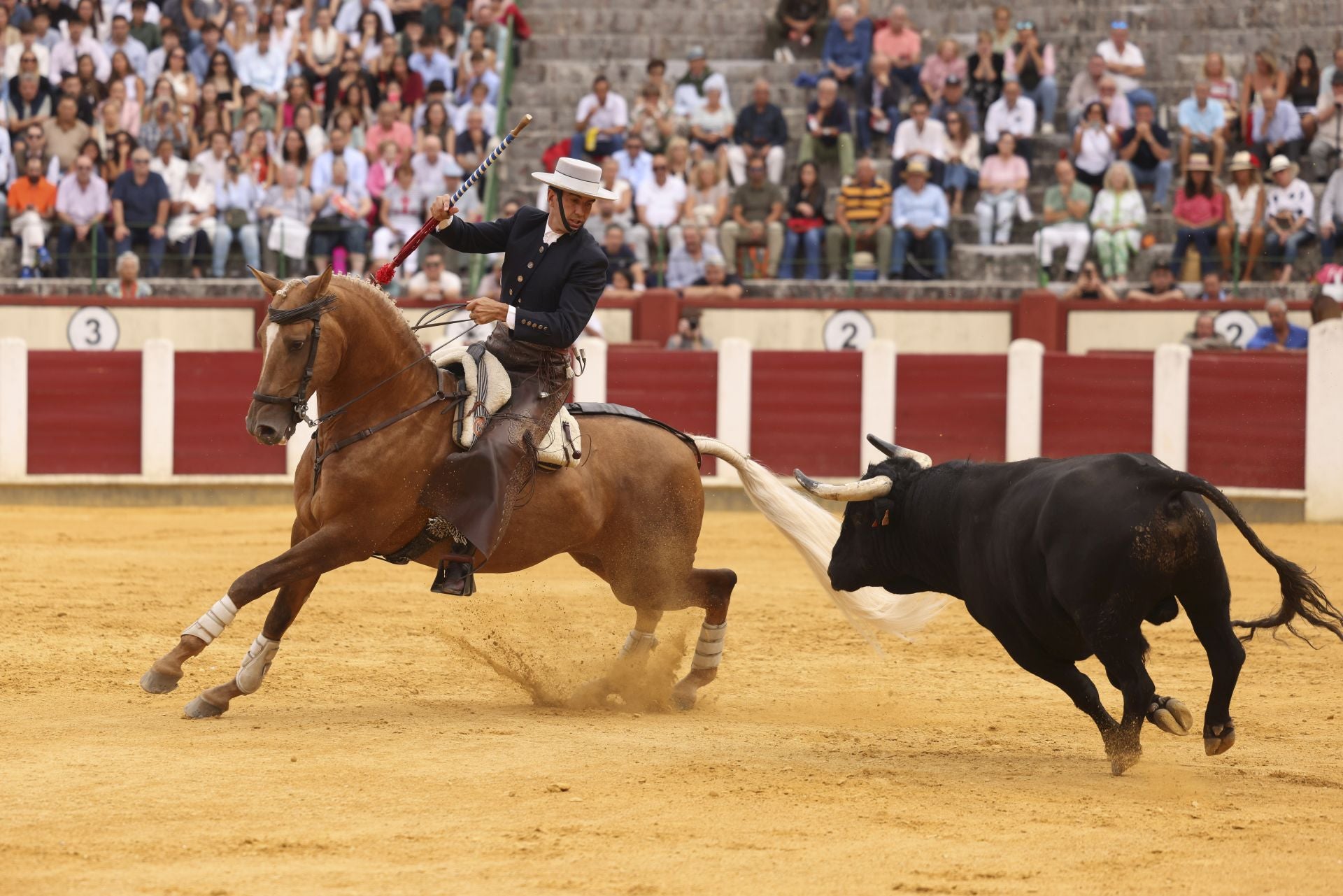 Segio Galán en la corrida de rejones de Valladolid