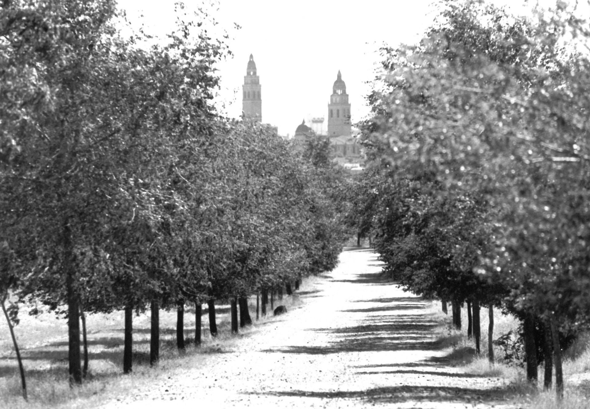 Alaejos desde la ermita. 