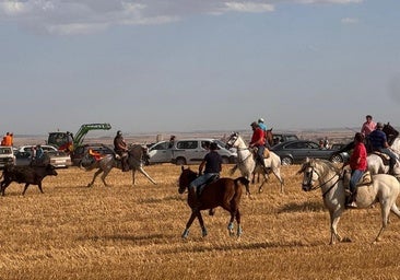 Un centenar de caballistas participan en el encierro por el campo de Villalón