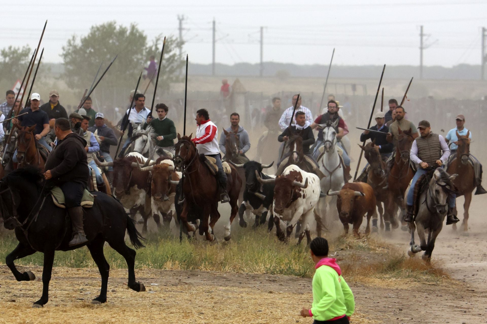 Las fotos del encierro celebrado en Medina del Campo durante la mañana del 7 de septiembre