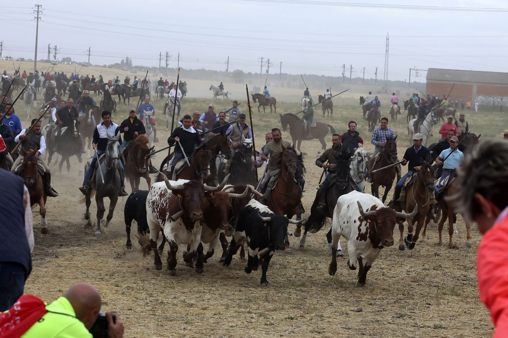 Las fotos del encierro celebrado en Medina del Campo durante la mañana del 7 de septiembre