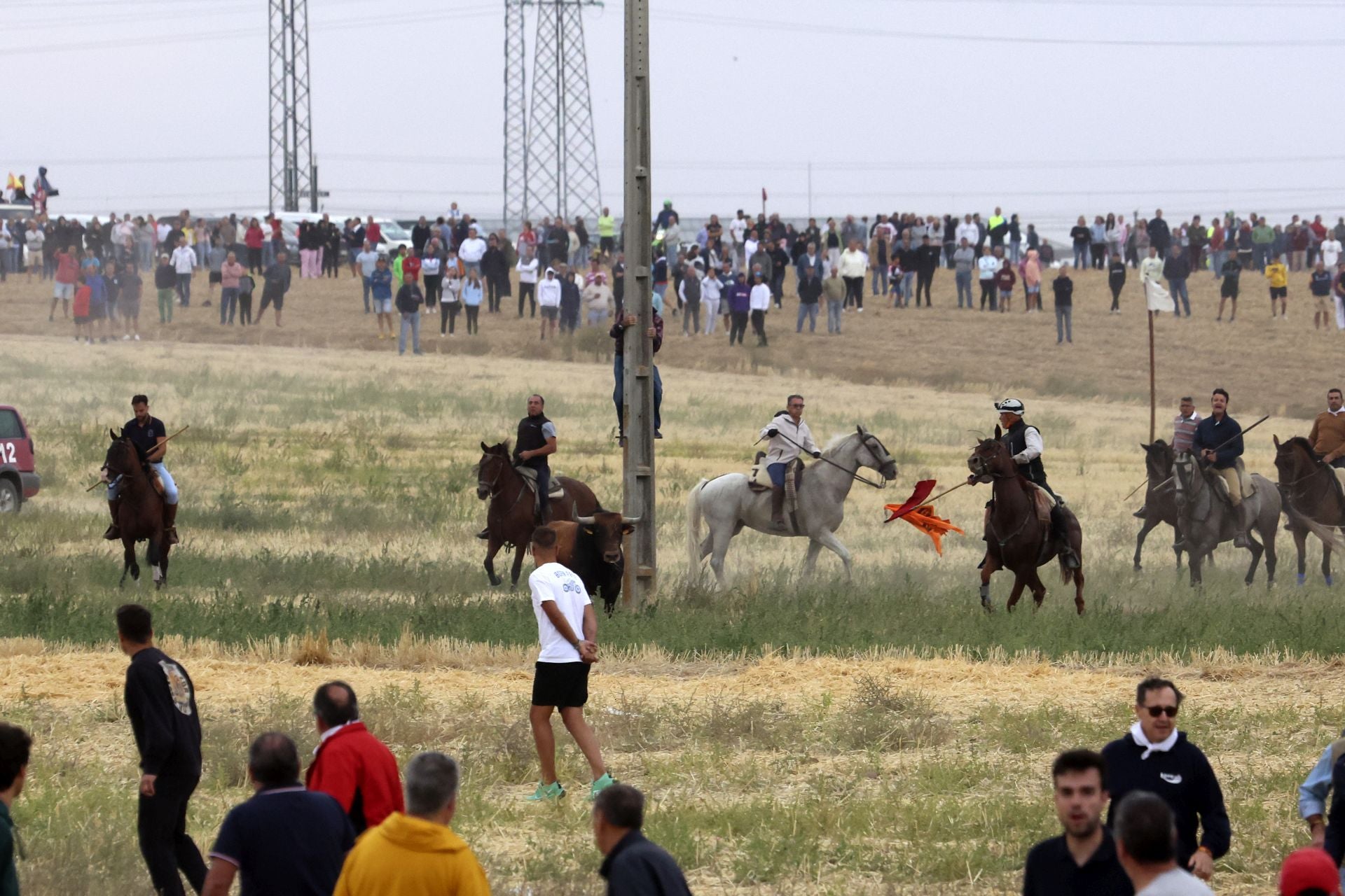 Las fotos del encierro celebrado en Medina del Campo durante la mañana del 7 de septiembre