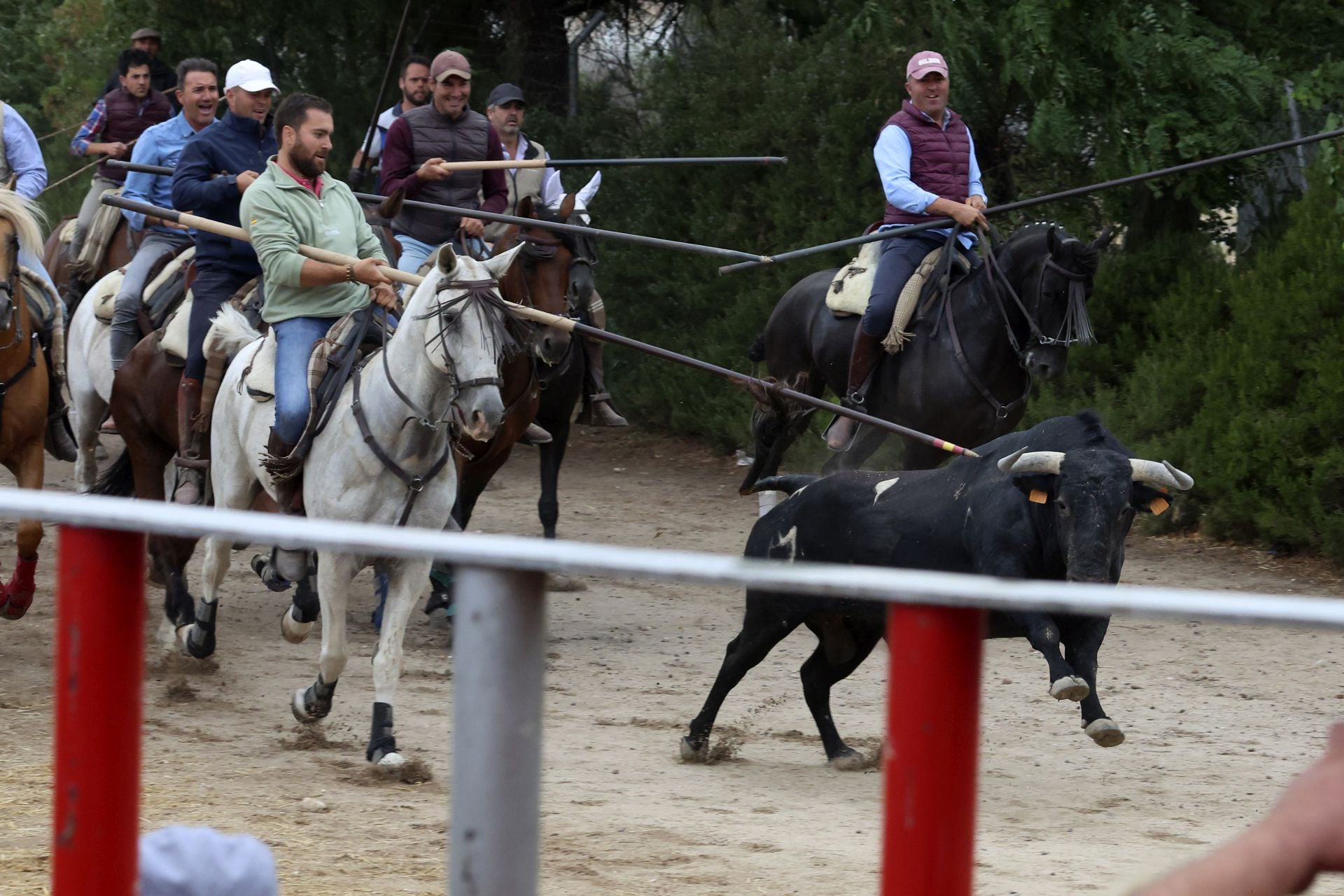 Las fotos del encierro celebrado en Medina del Campo durante la mañana del 7 de septiembre