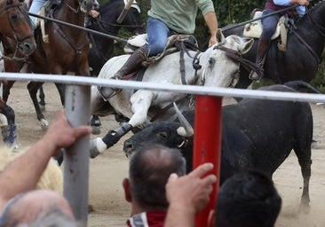 Un caballo herido en el quinto encierro de las fiestas de San Antolín