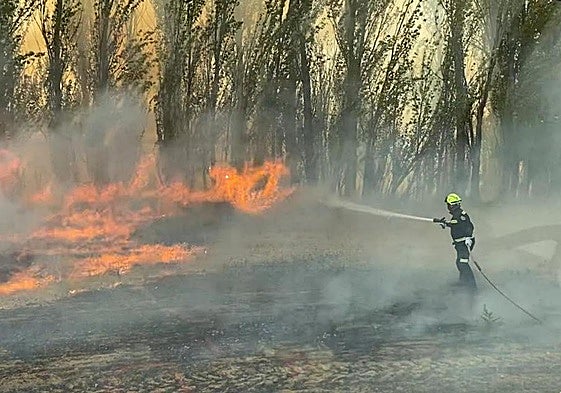 Bomberos de la Diputación sofocan el incendio en Grijota.
