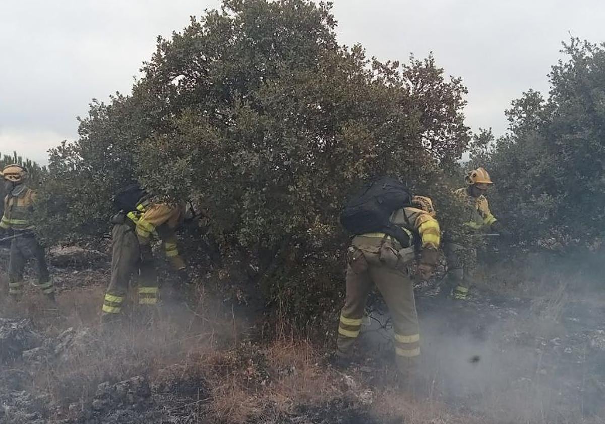 Profesionales de extinción trabajan para apagar el fuego en Fuentidueña.
