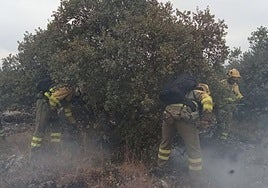 Profesionales de extinción trabajan para apagar el fuego en Fuentidueña.