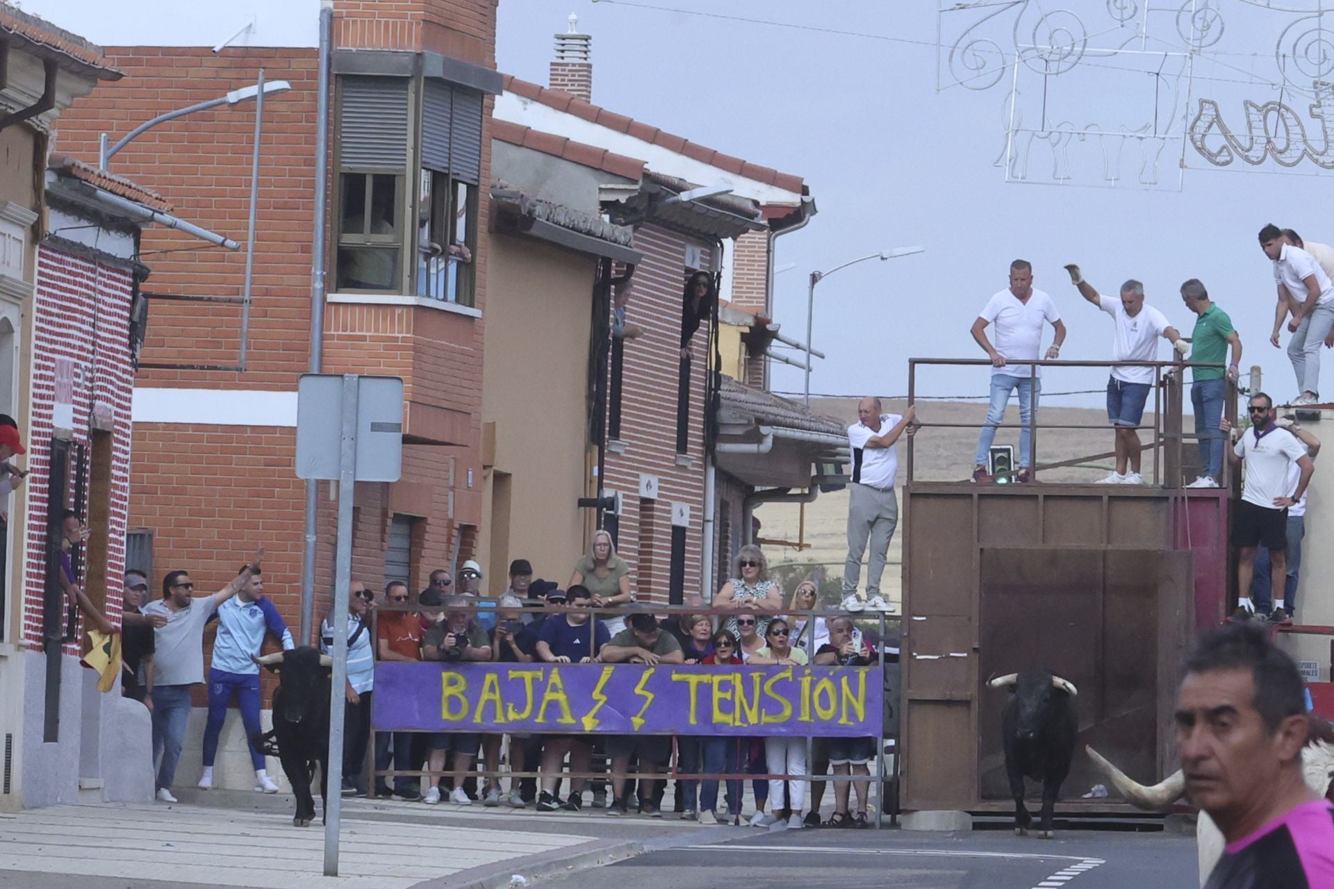 Encierro urbano, vaca del cajón y capea de Nava del Rey