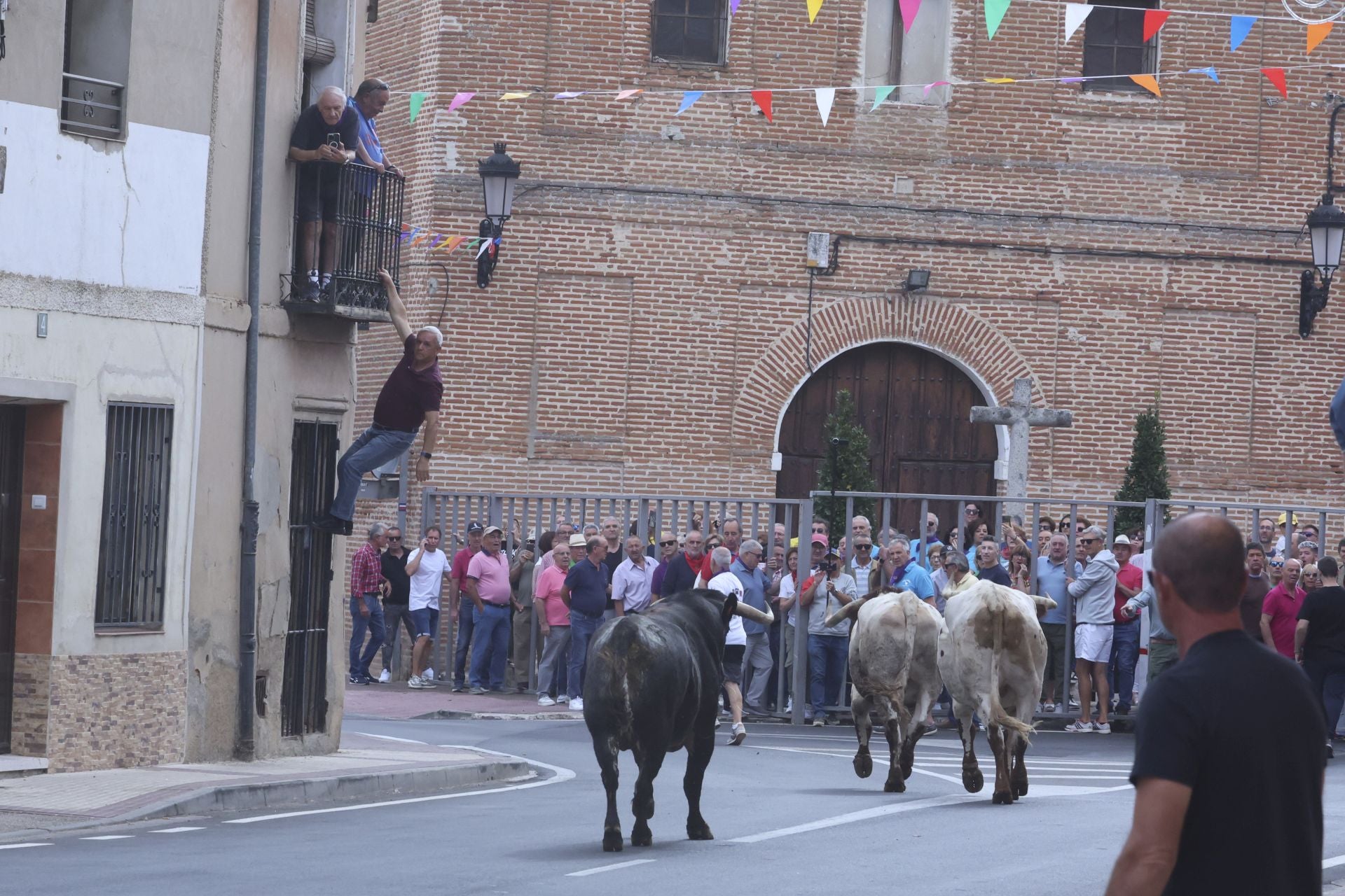Encierro urbano, vaca del cajón y capea de Nava del Rey