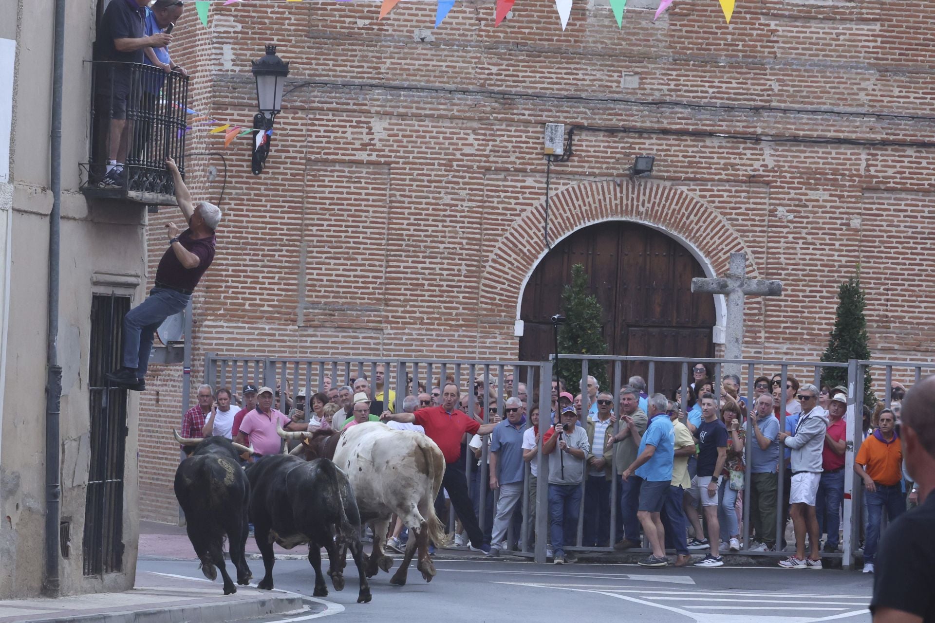 Encierro urbano, vaca del cajón y capea de Nava del Rey