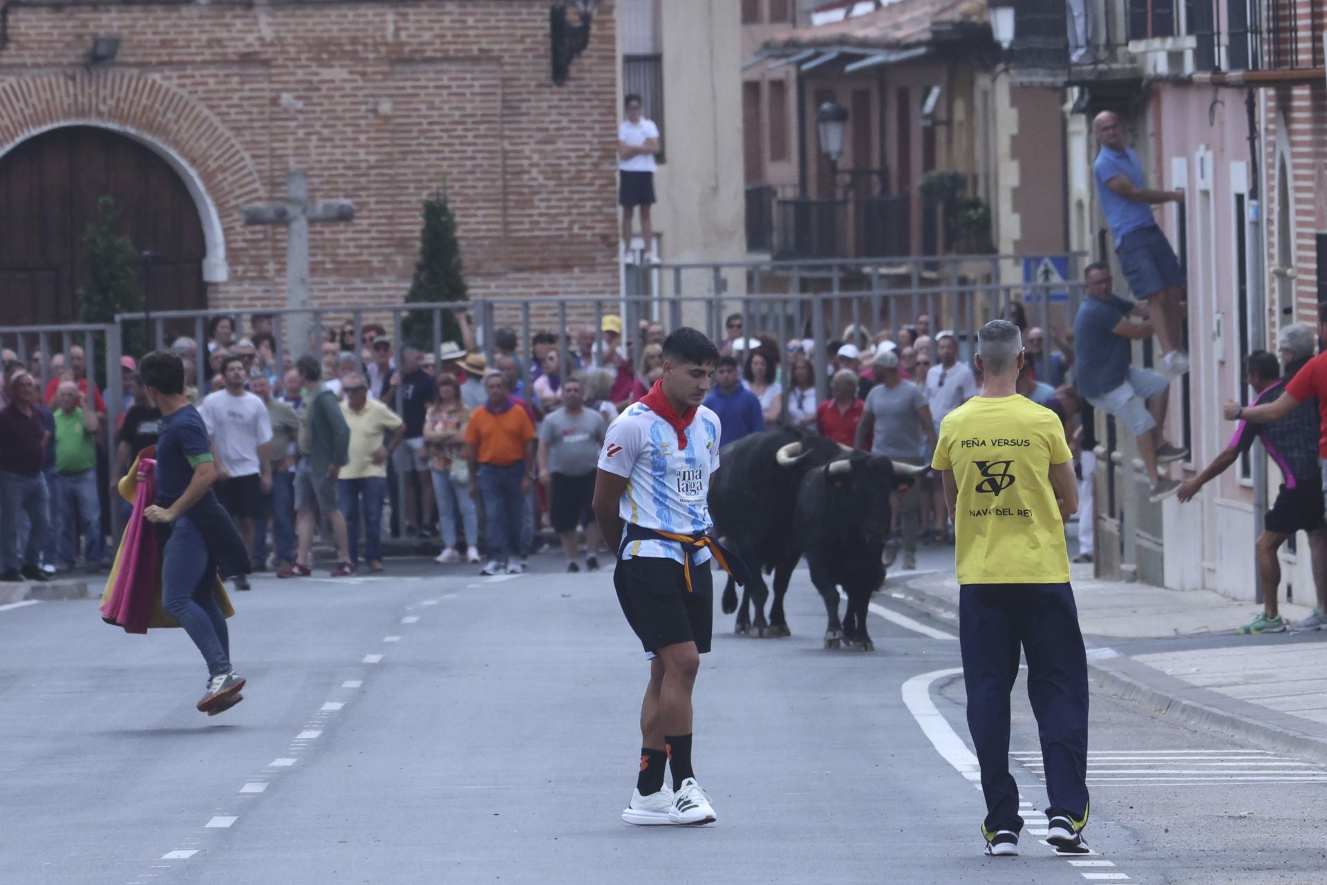 Encierro urbano, vaca del cajón y capea de Nava del Rey