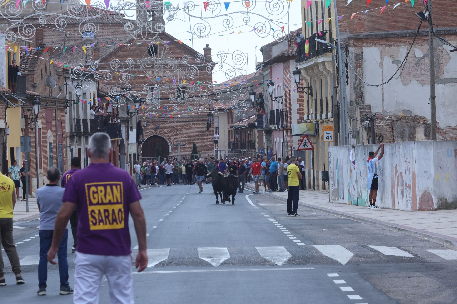 Encierro urbano, vaca del cajón y capea de Nava del Rey