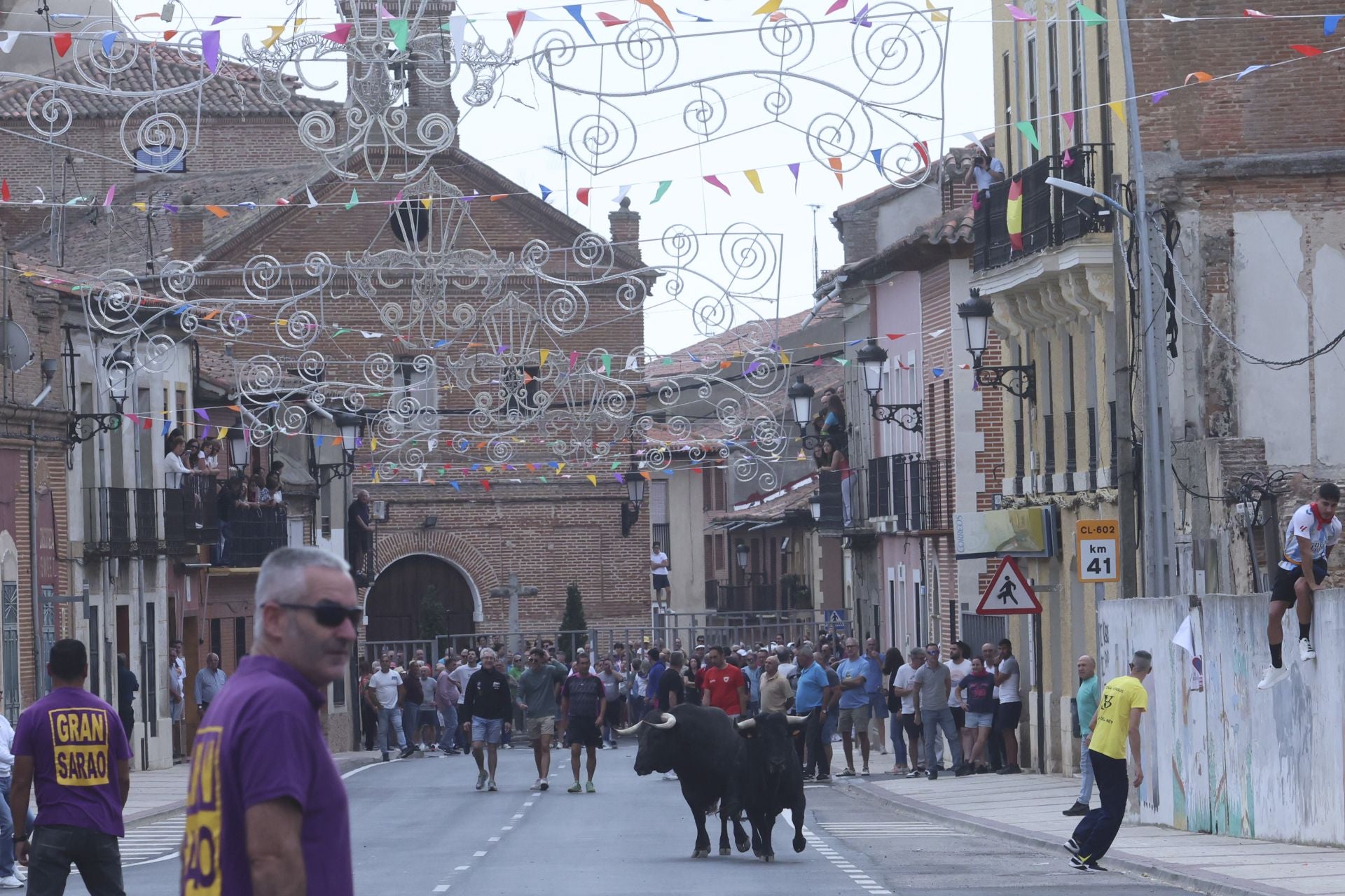 Encierro urbano, vaca del cajón y capea de Nava del Rey