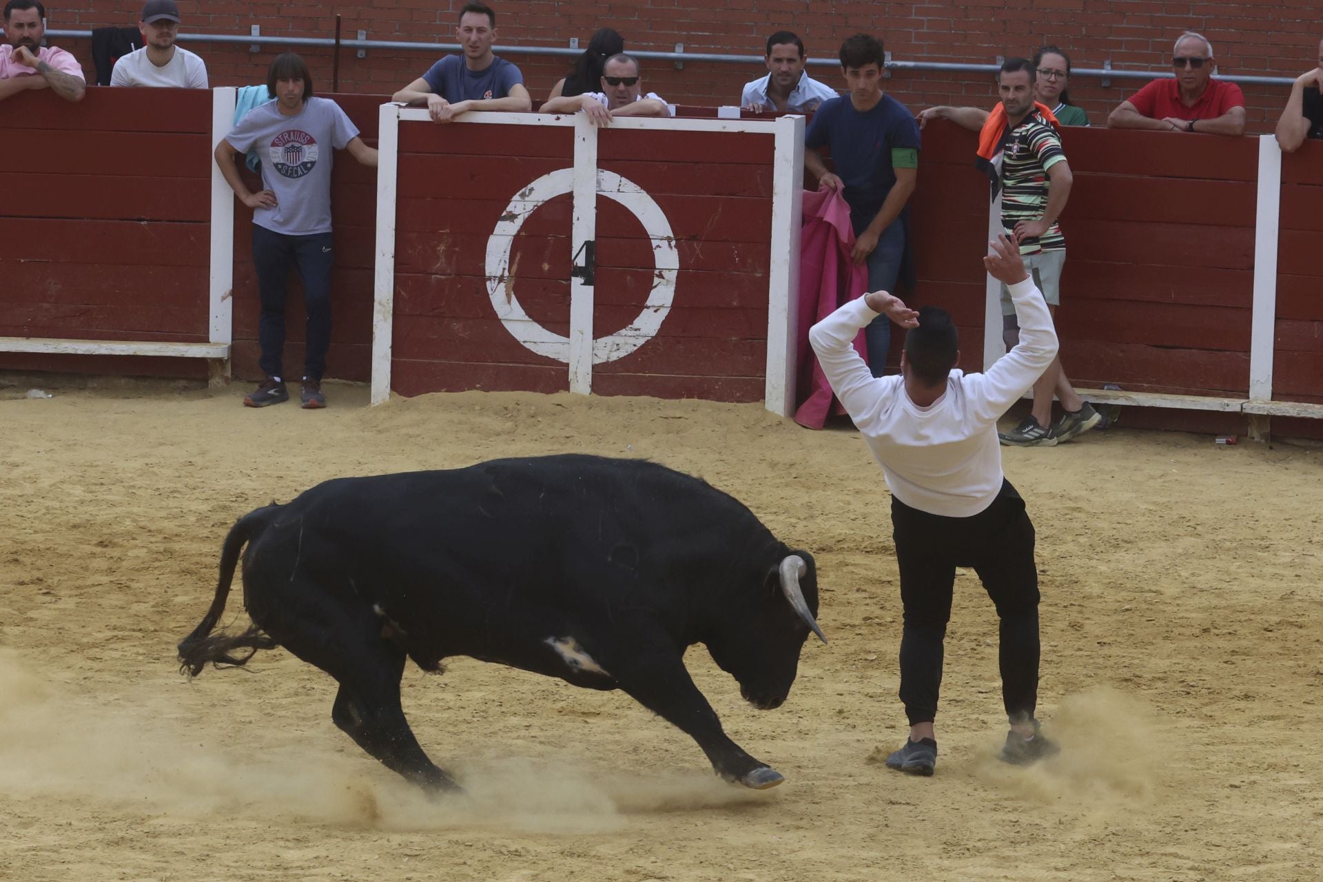 Encierro urbano, vaca del cajón y capea de Nava del Rey