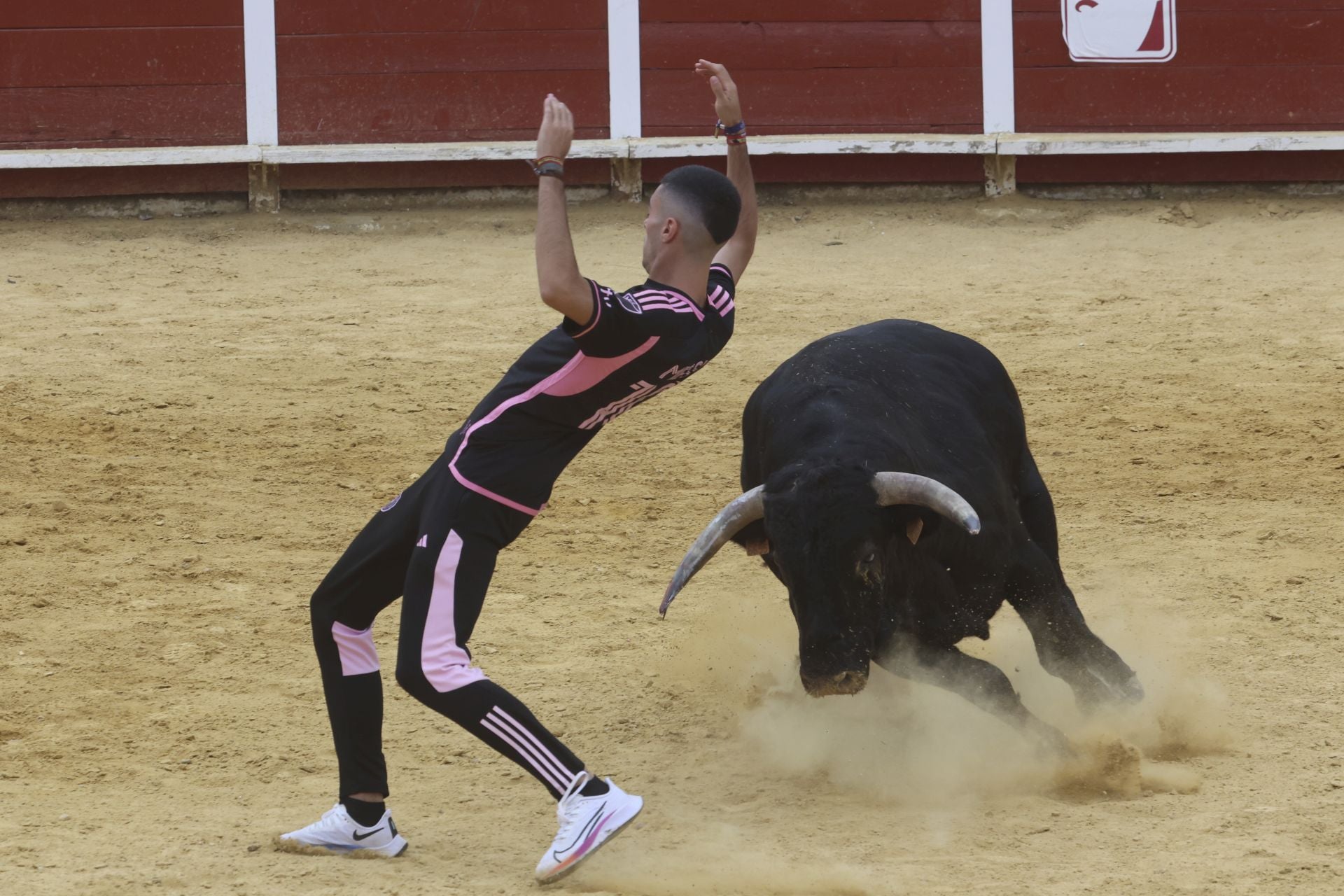 Encierro urbano, vaca del cajón y capea de Nava del Rey
