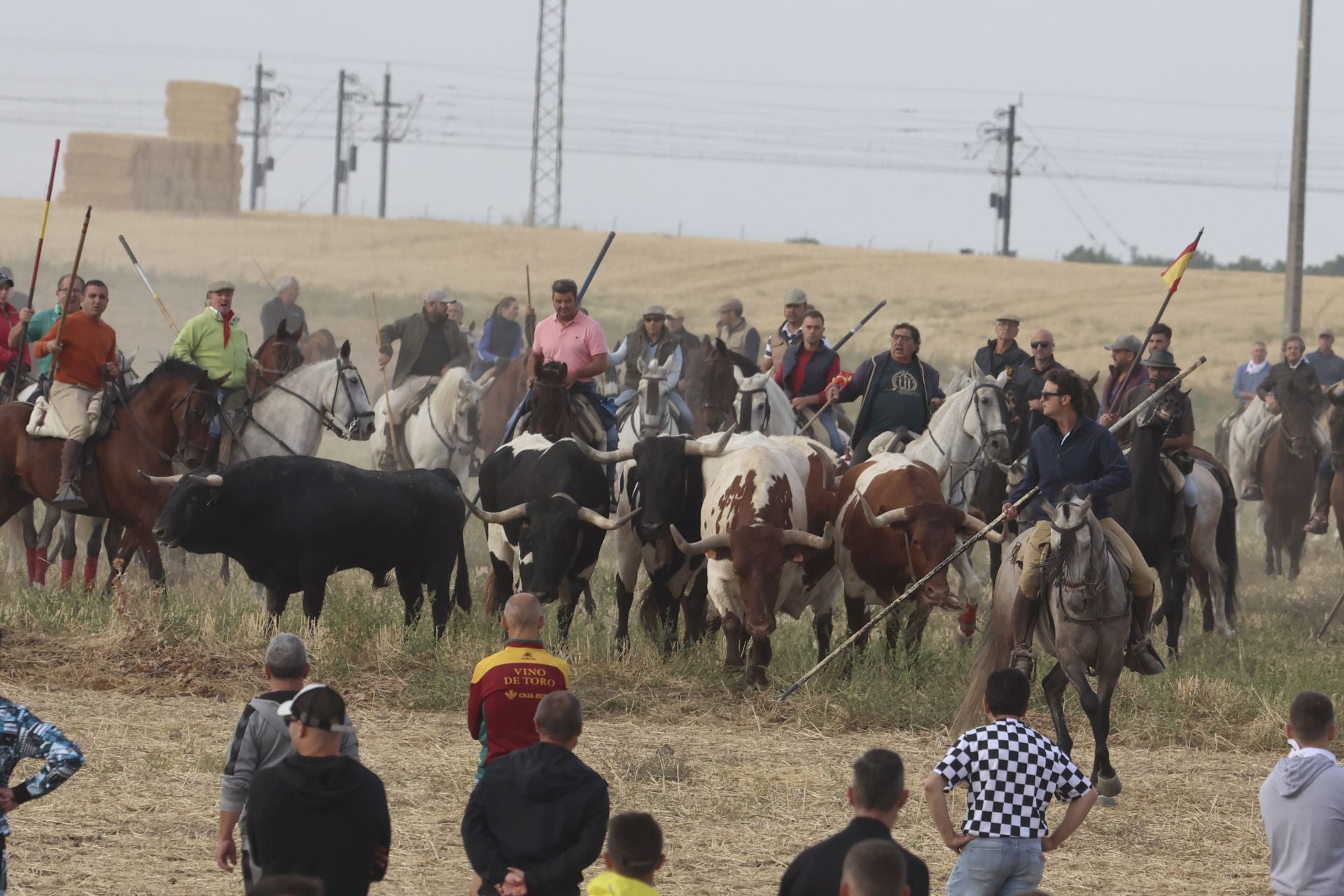 Las imágenes del encierro de este lunes en Medina del Campo