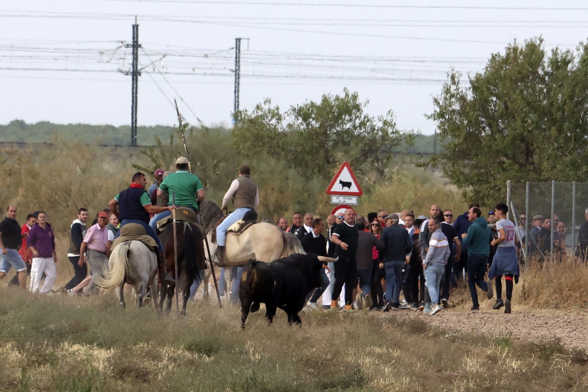 Las imágenes del encierro de este lunes en Medina del Campo