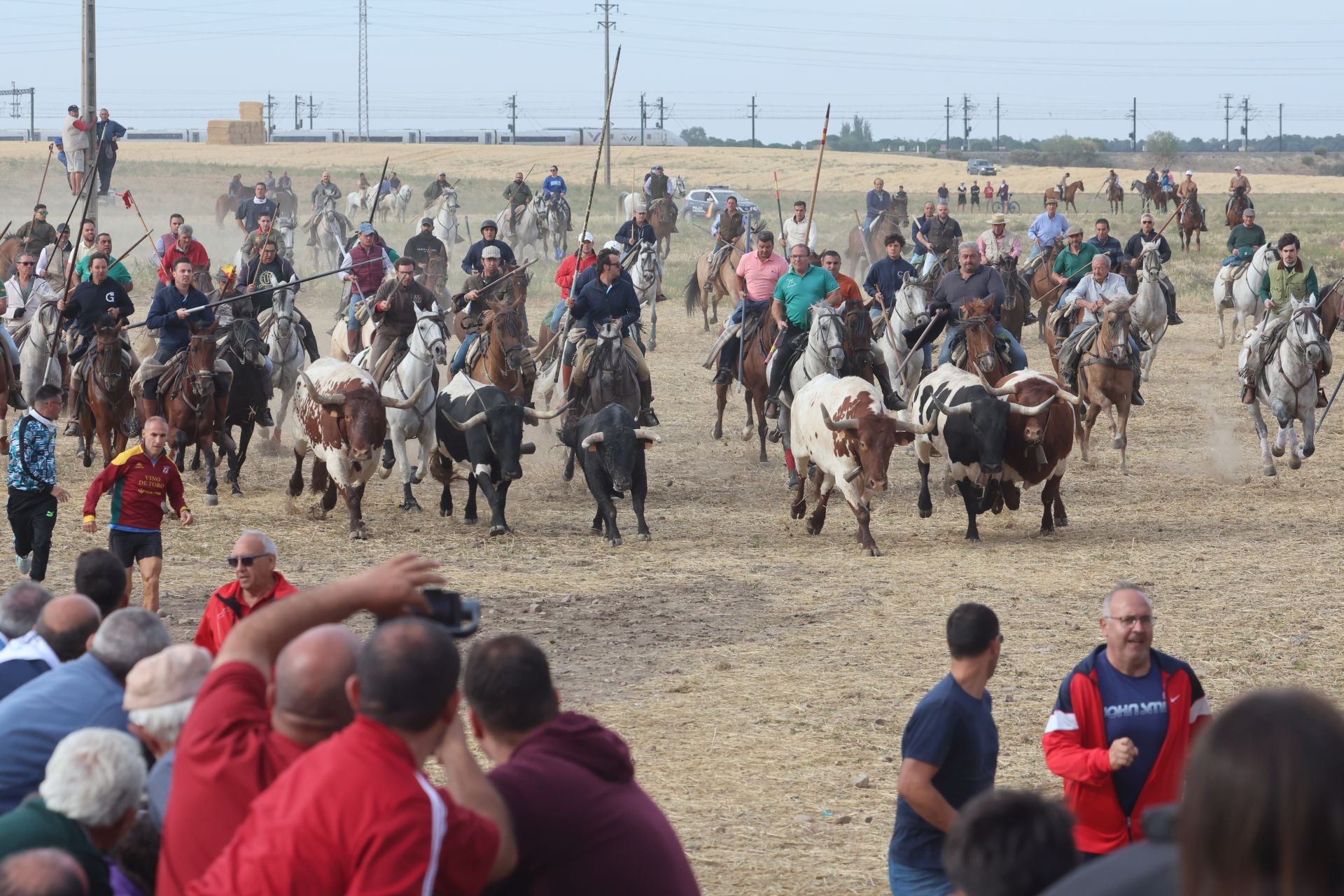 Las imágenes del encierro de este lunes en Medina del Campo